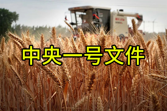 《轉(zhuǎn)發(fā)》老趙說(shuō)農(nóng)資：解讀2024中央一號(hào)文件，肥料生產(chǎn)企業(yè)這樣干